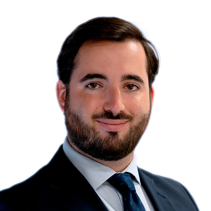 Luis Aramendía
